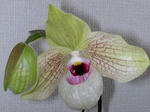 DSCN1477.JPG