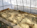 DSCN1485.JPG