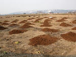 DSCN1509.JPG