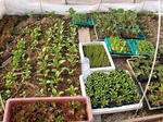 DSCN1510.JPG