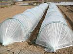 DSCN1522.JPG