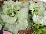 DSCN1523.JPG
