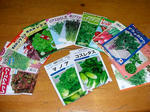DSCN1526.JPG