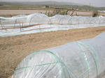 DSCN1528.JPG