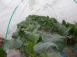 DSCN1531.JPG