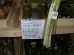 DSCN1535.JPG