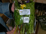 DSCN1536.JPG