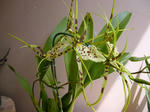 DSCN1538.JPG