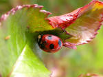 DSCN1546.JPG