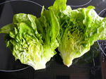 DSCN1567.JPG