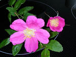 DSCN1571.JPG