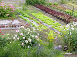 DSCN1589.JPG