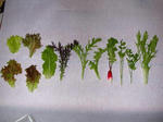 DSCN1607.JPG