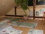 DSCN1622.JPG