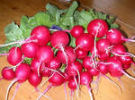 DSCN1628.JPG