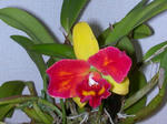 DSCN1691.JPG