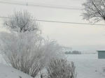 DSCN1719.JPG