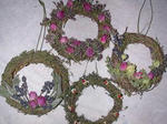 DSCN1721.JPG