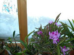 DSCN1725.JPG