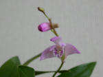 DSCN1727.JPG