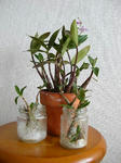 DSCN1729.JPG