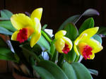 DSCN1733.JPG