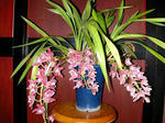 DSCN1738.JPG