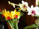DSCN1747.JPG