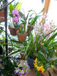 DSCN1753.JPG