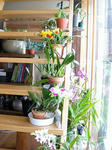 DSCN1755.JPG