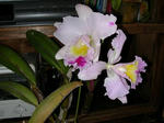 DSCN1756.JPG