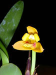 DSCN1766.JPG