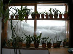 DSCN1782.JPG
