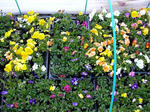 DSCN1834.JPG