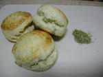 DSCN1827.JPG