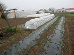 DSCN1835.JPG