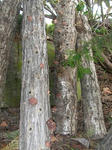 DSCN1838.JPG