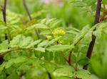 DSCN1848.JPG