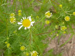 DSCN1849.JPG