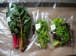 DSCN1861.JPG