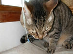 DSCN1862.JPG