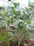 DSCN1874.JPG