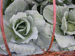 DSCN1876.JPG