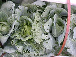 DSCN1877.JPG