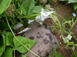 DSCN1888.JPG