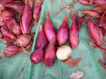 DSCN1904.JPG