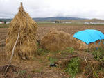 DSCN1914.JPG