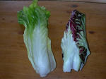 DSCN1906.JPG