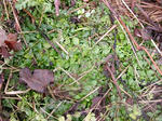 DSCN1927.JPG