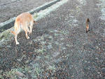 DSCN1929.JPG